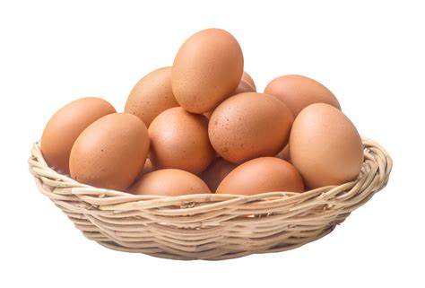egg